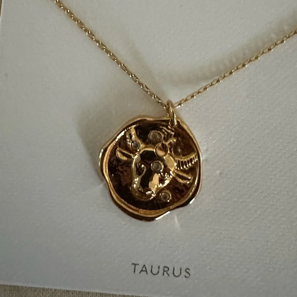 Madewell Zodiac Pendant Necklace - Taurus - Picture 5 of 5